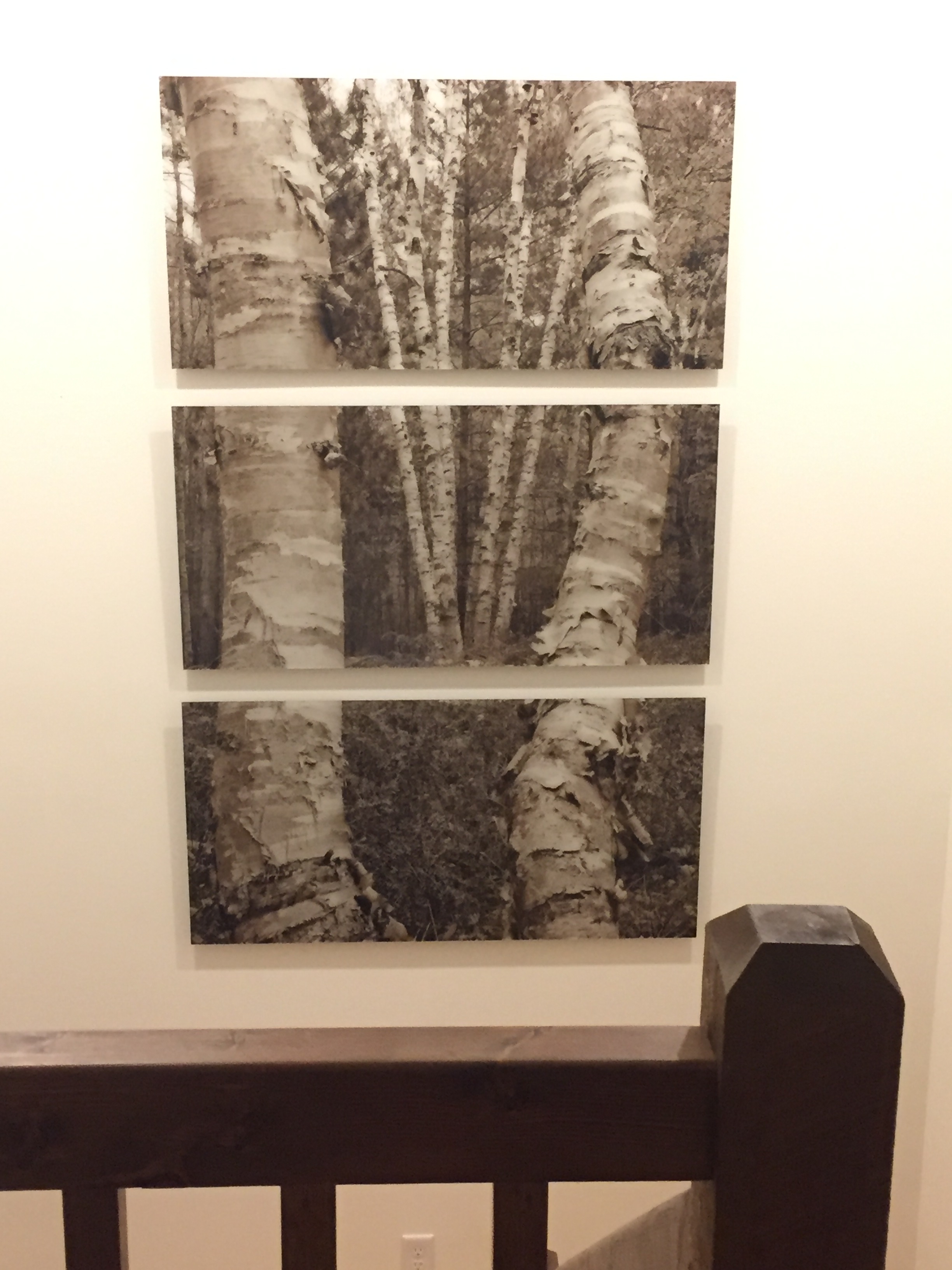 acrylic prints from photos acrylic prints from photos
