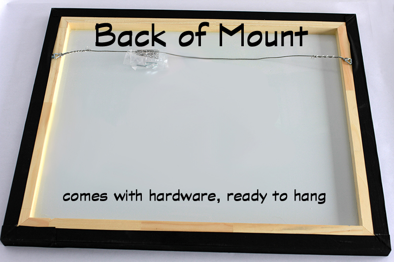 acrylic-back-of-mounts--21