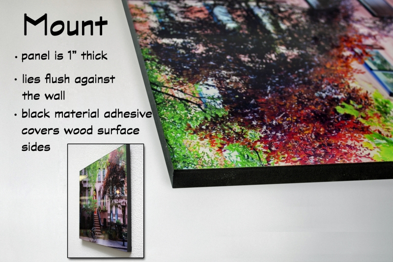 acrylic-mount--24