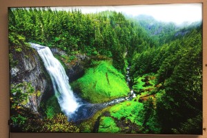 Canvas print of forest with waterfall.