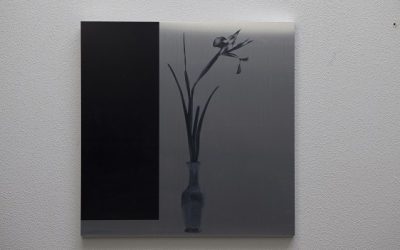 Brushed metal print of flower in vase with a thick black border on the left.
