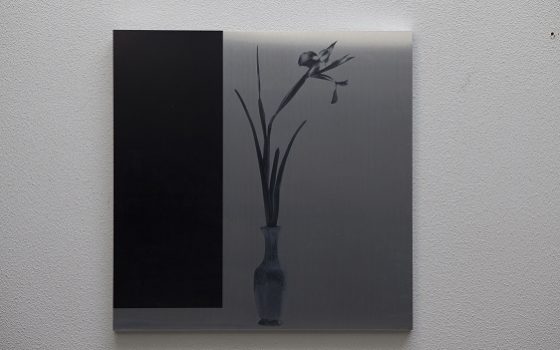Brushed metal print of flower in vase with a thick black border on the left.