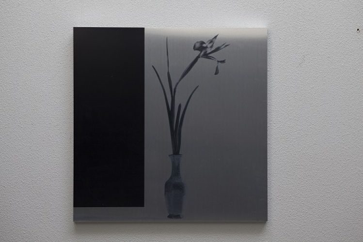 Brushed Metal Print-Flower in Vase Brushed metal print of flower in vase with a thick black border on the left.