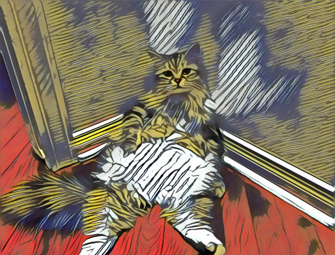 cat3 cat3