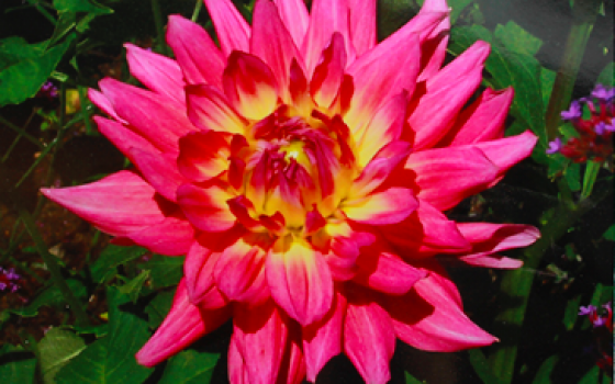 Screen Shot 2017-06-25 at 10.23.25 PM