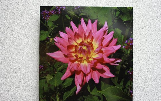 facemountmetalcrylicsmple3