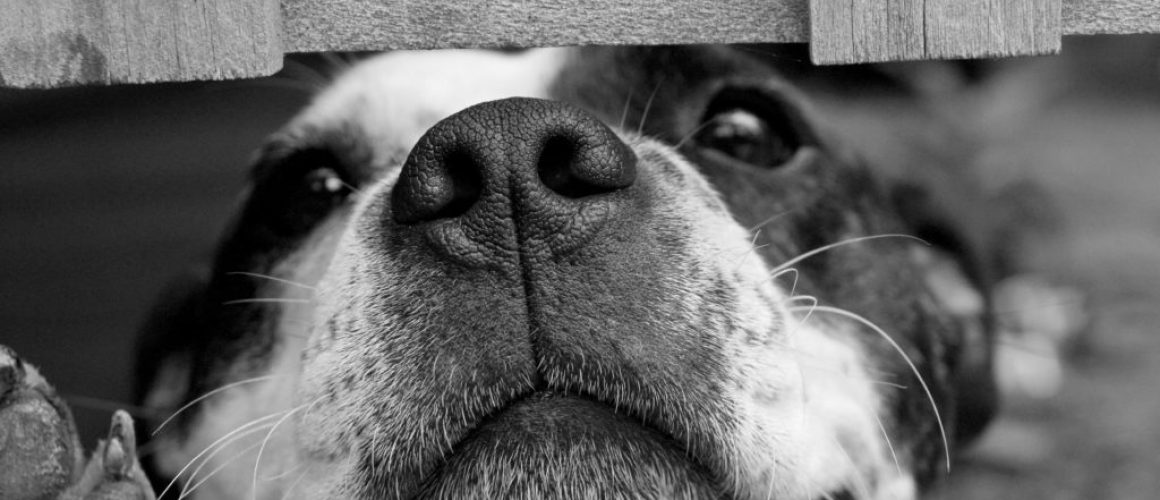 The Artsy Black and White Photograph