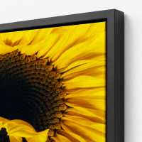 Stretched w/ Frame