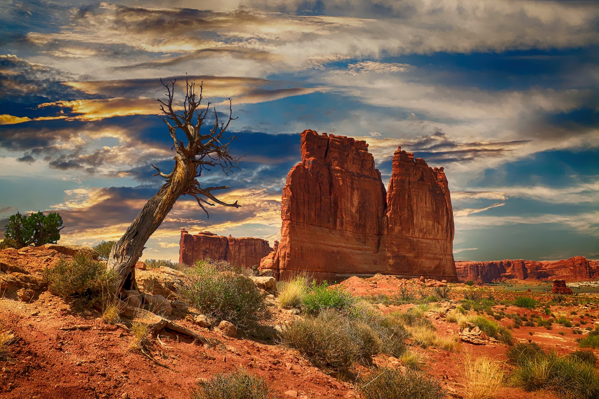 Bryce Canyon Landscape