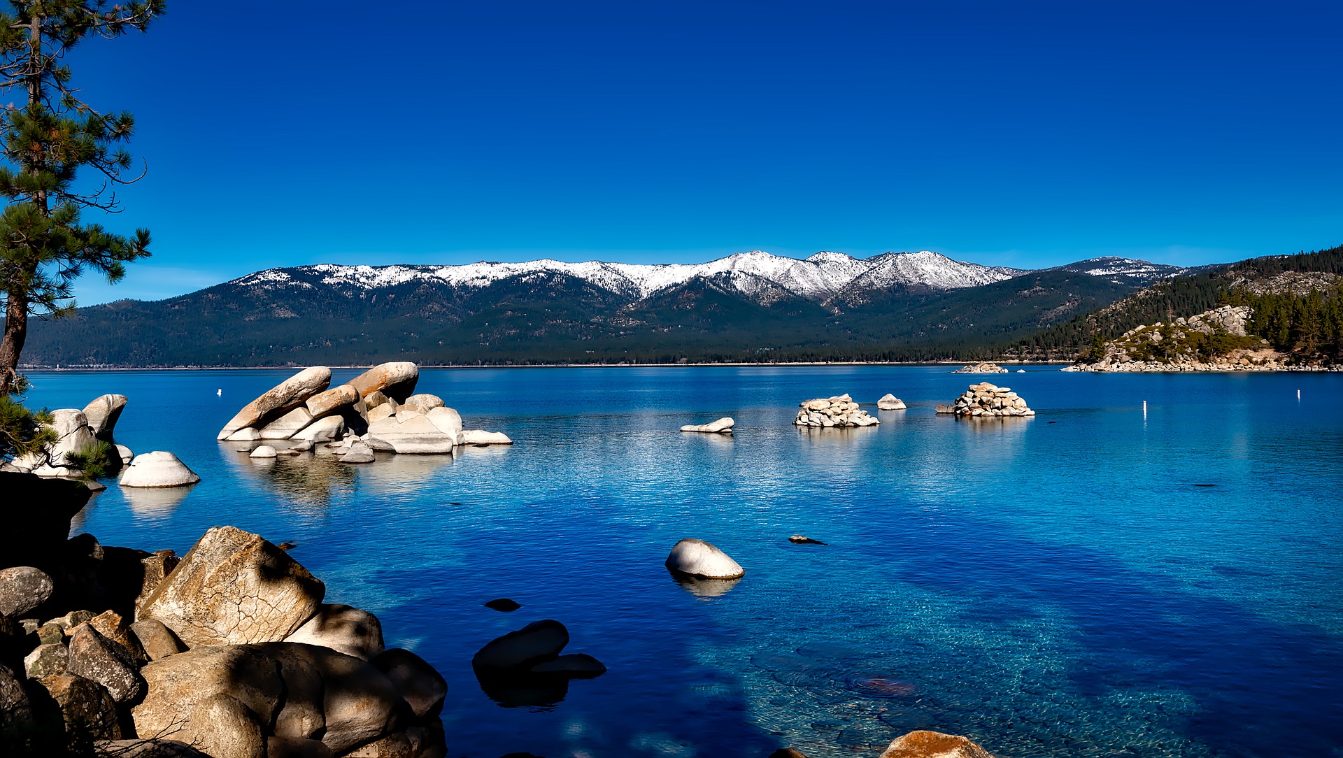 Lake Tahoe Landscape