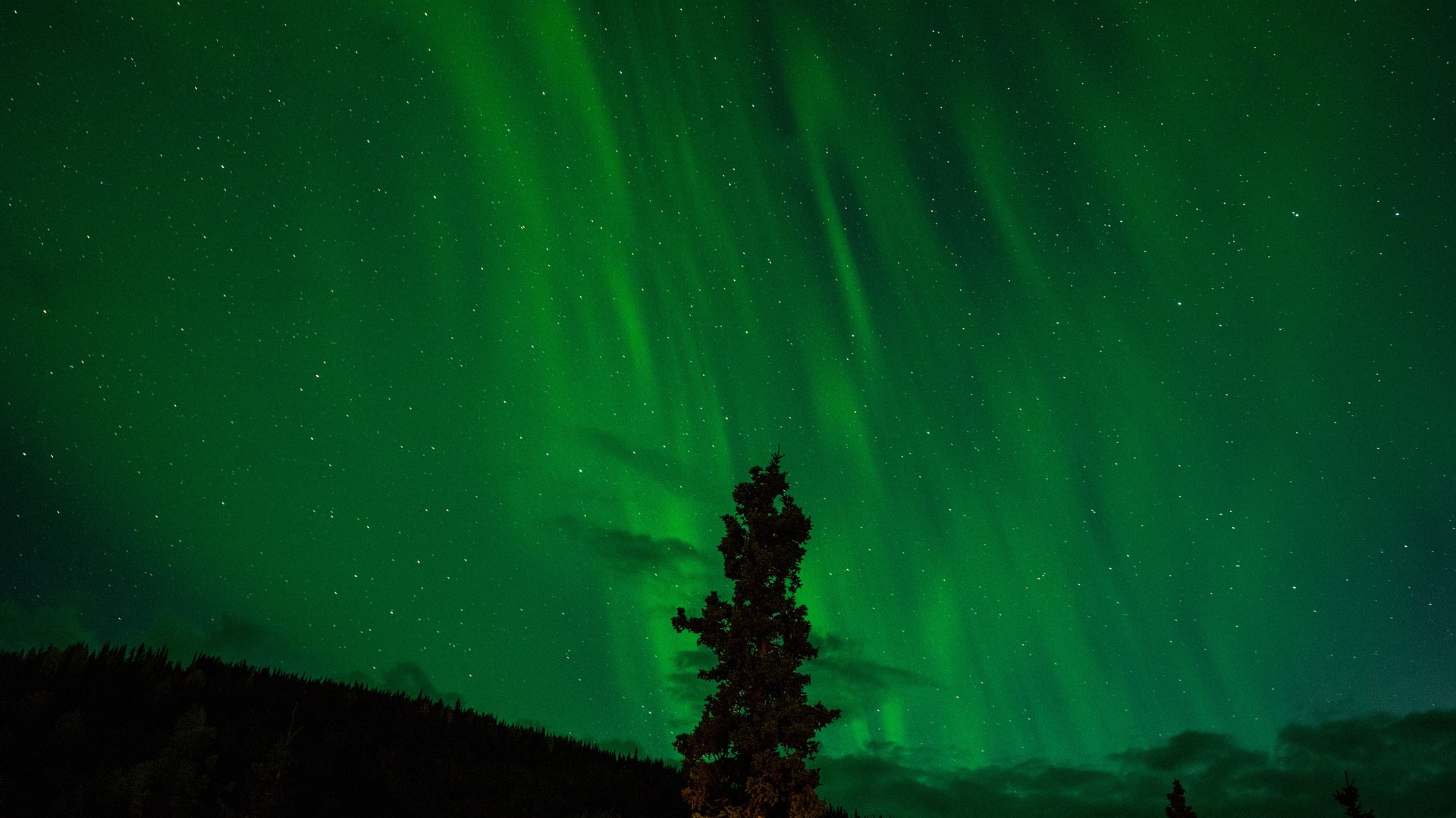 Alaska Landscape