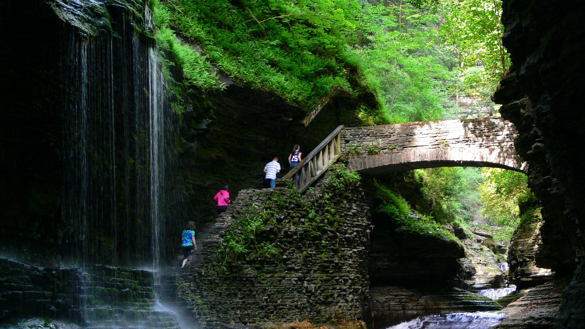 Watkins Glen Landscape