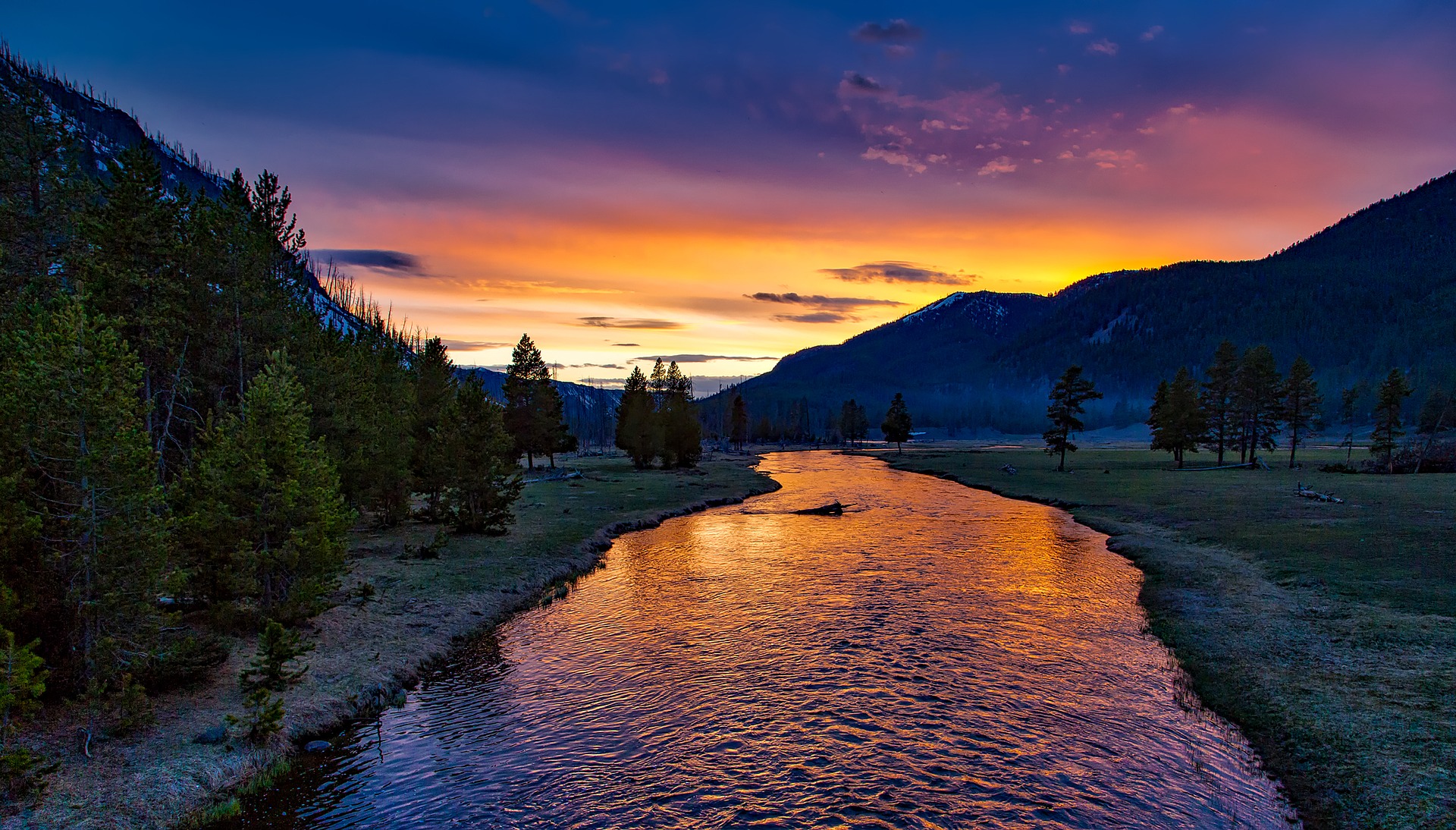 Yellowstone Landscape