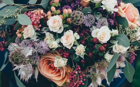 Top 10 Flowers for Acrylic Photos Top 10 Flowers for Acrylic Photos