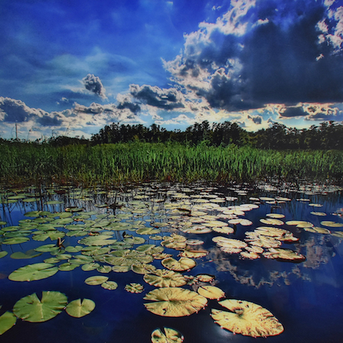 Acrylic Prints