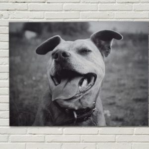 Digital Metal Print