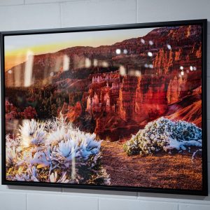 Metal Sublimation Print Metal Sublimation Print