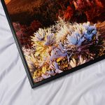 Acrylic Glass Print Up Close