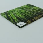 DSC_0237ss DSC_0237ss