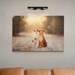 Acrylic Glass Print of Doggies