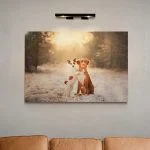 Acrylic Glass Print of Doggies