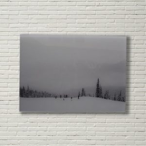 White-Brick-Winter White-Brick-Winter