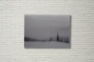 Acrylic Prints | Pictures on Glass | Metal Prints | Fabric Prints | Big ...