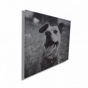 bruhed-metal-side-view