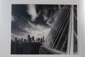 img_8126ccc img_8126ccc