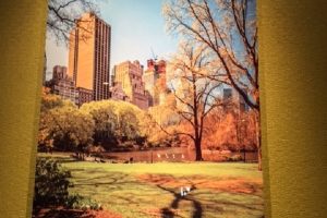 jannewimg_0482 jannewimg_0482