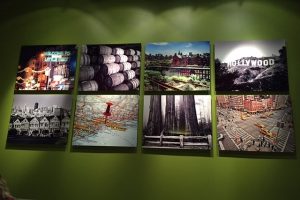 jannewqqqq jannewqqqq