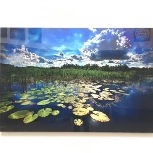 landscape-with-lilly-pads