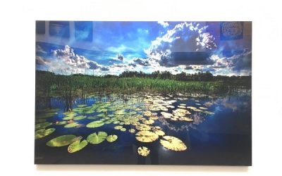 landscape-with-lilly-pads