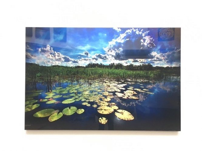 landscape-with-lilly-pads landscape-with-lilly-pads