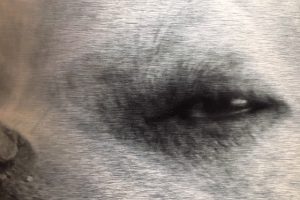 metal-dog-4 metal-dog-4