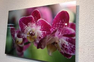 pinkimg_0111 pinkimg_0111