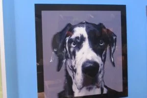 What our customers have created