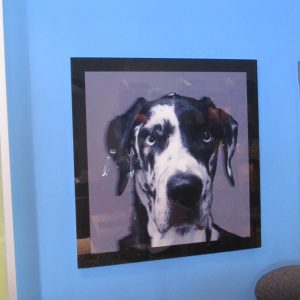 Custom Art Acrylic Prints