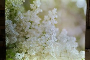 slim-fabric4 slim-fabric4