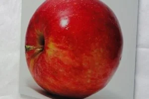 white-metal-red-on-white