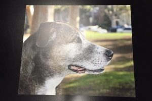 white-metal_0 white-metal_0