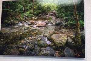 whitemeeeee-1ss whitemeeeee-1ss