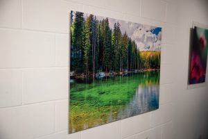 _AFD9163ssss _AFD9163ssss