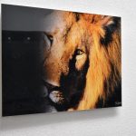Acrylic Glass Print