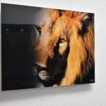 Acrylic Glass Print
