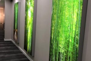 51582882_10161333487115721_2742134063543353344_n 51582882_10161333487115721_2742134063543353344_n