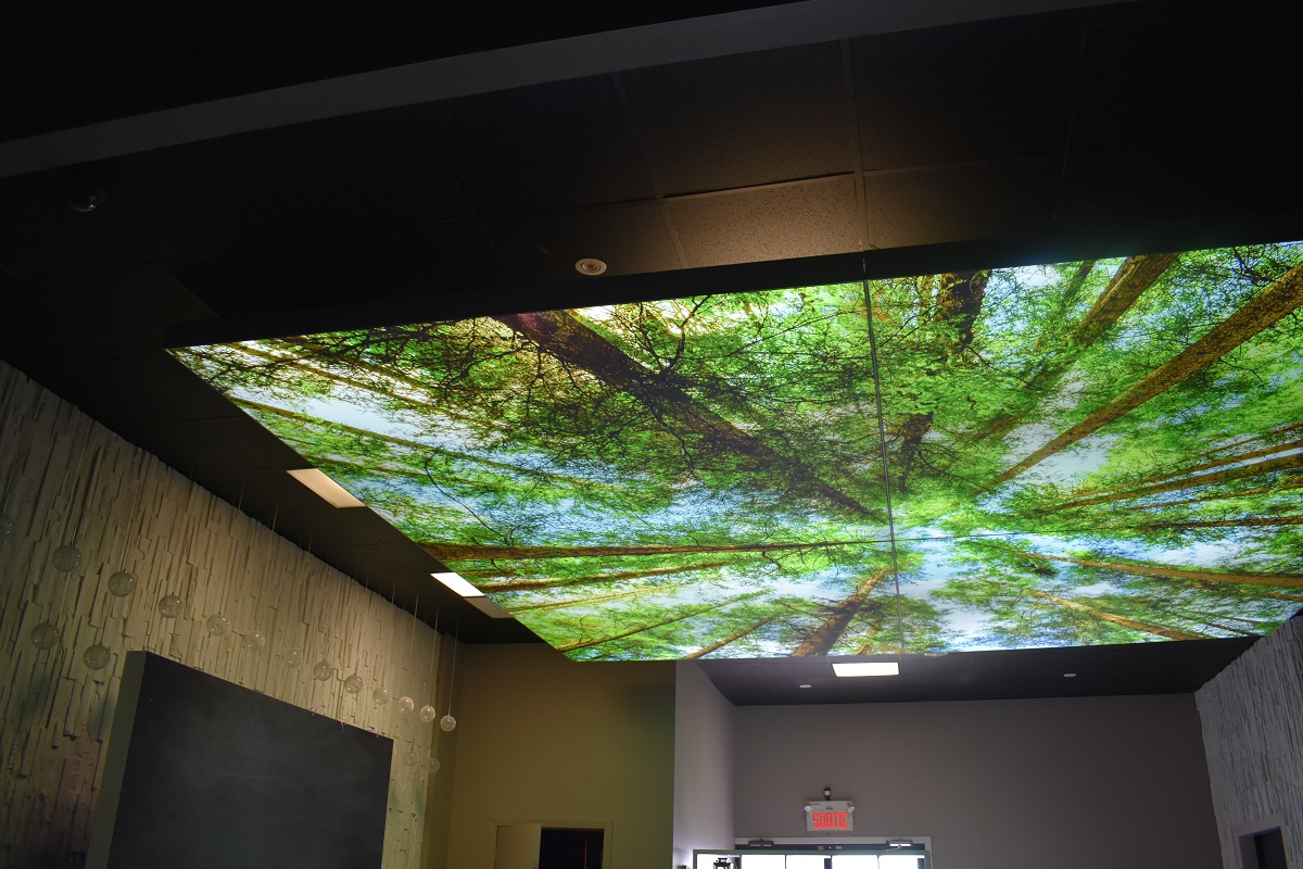 Ceiling-mounted Backlit Acrylic Print