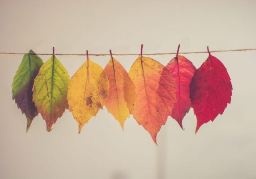 fall