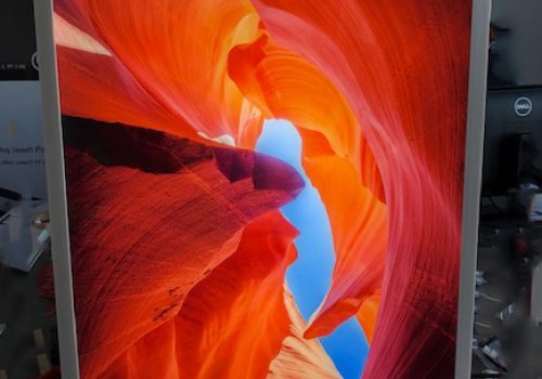 Back Lit Photography options