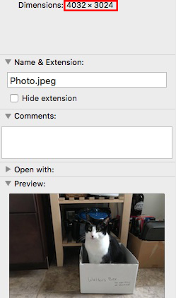 Where to find dimensions of a photo when learning how to convert print photos to digital files.
